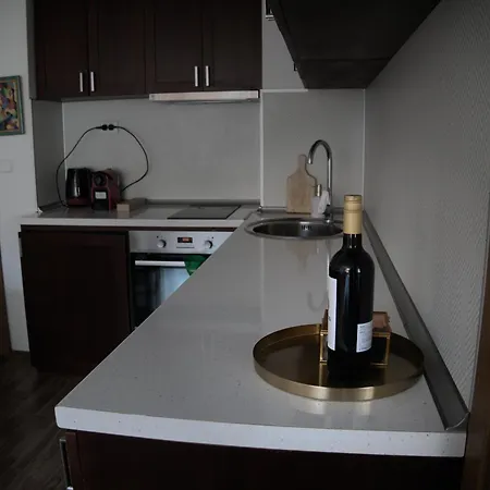 Apartamento Parkview Complex Large Flat Next To Lift Bansko