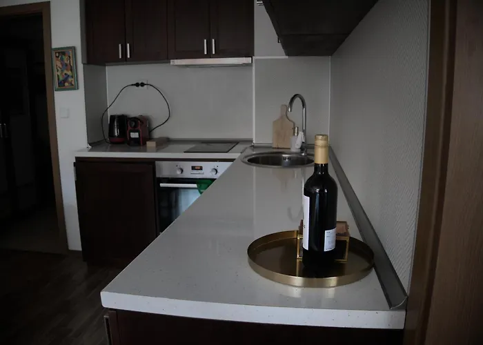 דירה Parkview Complex Large Flat Next To Lift בנסקו